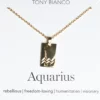 Tony Bianco Gold Aquarius Zodiac Necklace