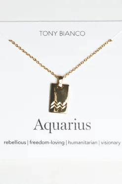 Tony Bianco Gold Aquarius Zodiac Necklace