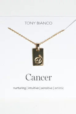 Tony Bianco Gold Cancer Zodiac Necklace Accessories