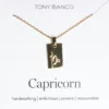 Tony Bianco Gold Capricorn Zodiac Necklace Accessories