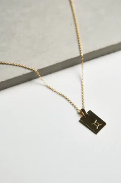 Tony Bianco Gold Gemini Zodiac Necklace Accessories