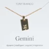 Tony Bianco Gold Gemini Zodiac Necklace Accessories