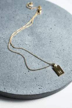 Tony Bianco Gold Pisces Zodiac Necklace Accessories