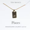 Tony Bianco Gold Pisces Zodiac Necklace Accessories
