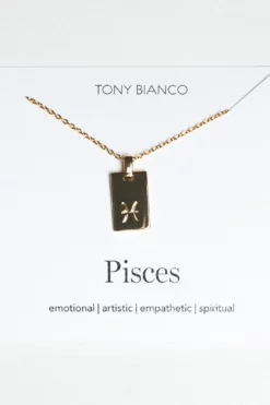 Tony Bianco Gold Pisces Zodiac Necklace Accessories