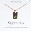 Tony Bianco Gold Sagittarius Zodiac Necklace